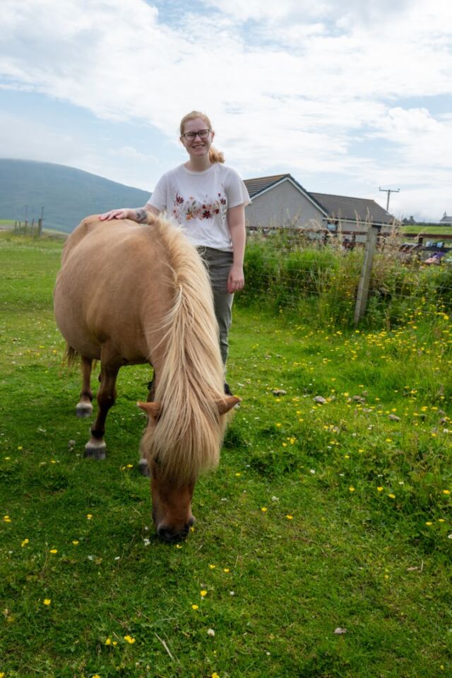 The Shetland Pony Experience 35