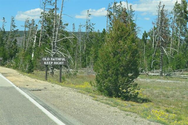 Keep right for Old Faithful!