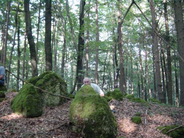 -wildlife-behind-the-rocks