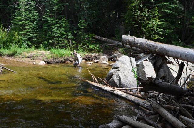 Fly fishing success