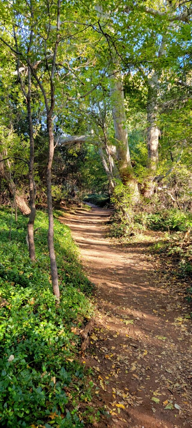 Crescent Moon Creek (2)