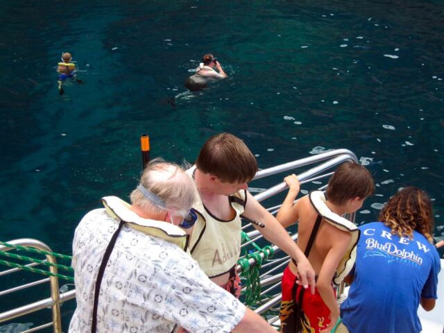 PO - snorkeling (3)