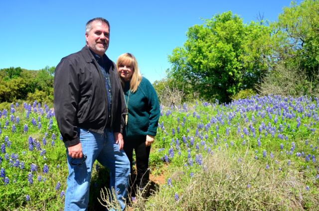 Roger and Kathy Willow Loop bluebonnets