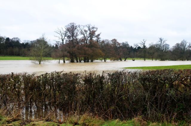 Flooded Stour River crossing at Honnington (4)