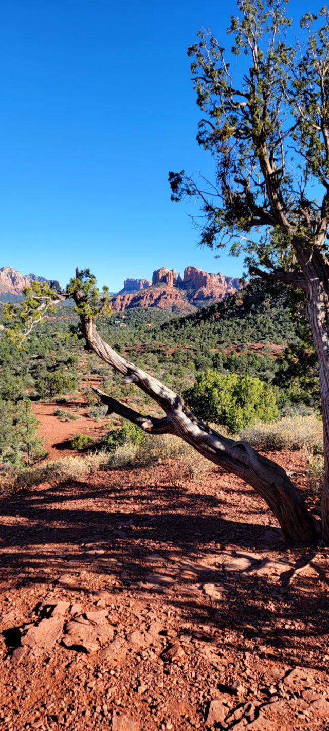 Cathedral Rock - vista views (06)
