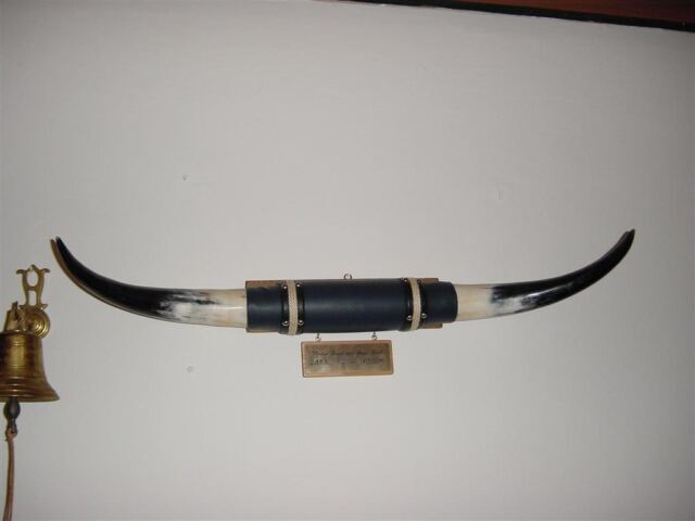 december-2000-horns-from-arl-and-stricom