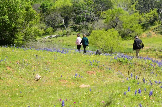 Kathy Geri and Paul walking in the distance 2