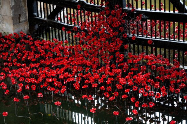 Tower of London poppies 03