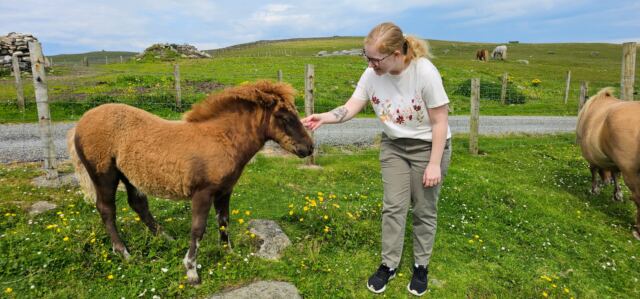 The Shetland Pony Experience 41