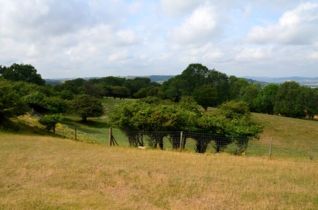 Cotswolds views from Broadway Tower hill (1)