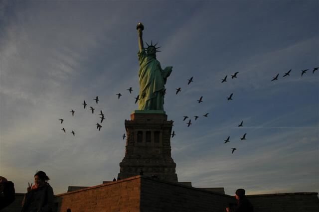 Birds in front of SofL