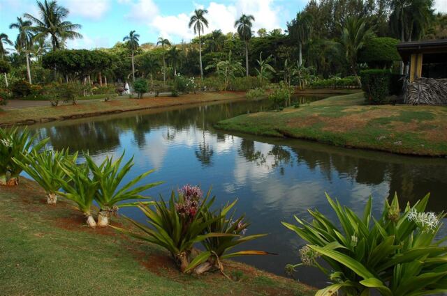Moat around luau dining