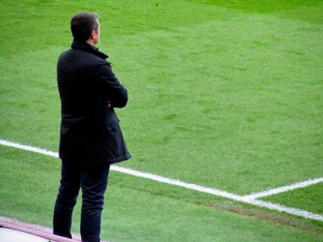 Remi Garde - Aston Villa manager (2)