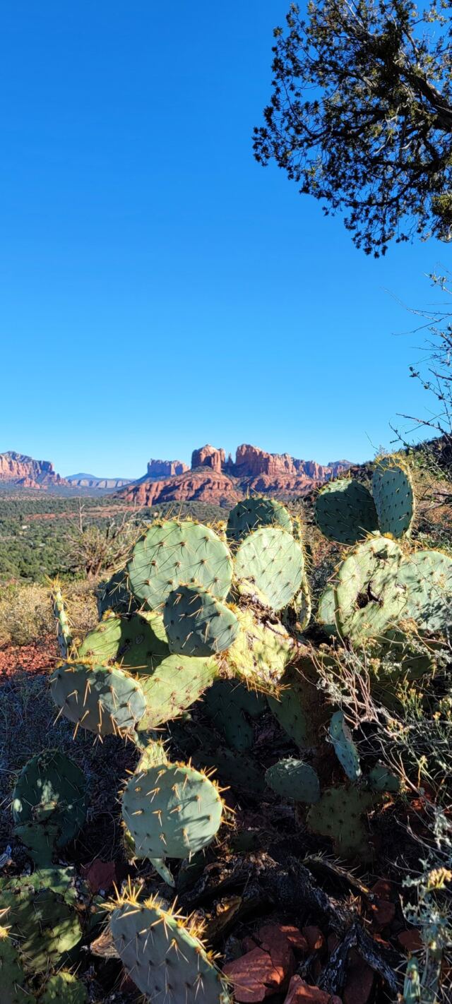 Cathedral Rock - vista views (02)