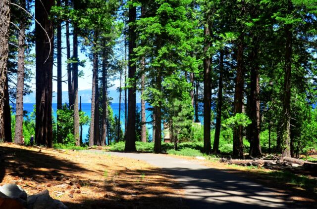 Sugar Pine Point walk 03