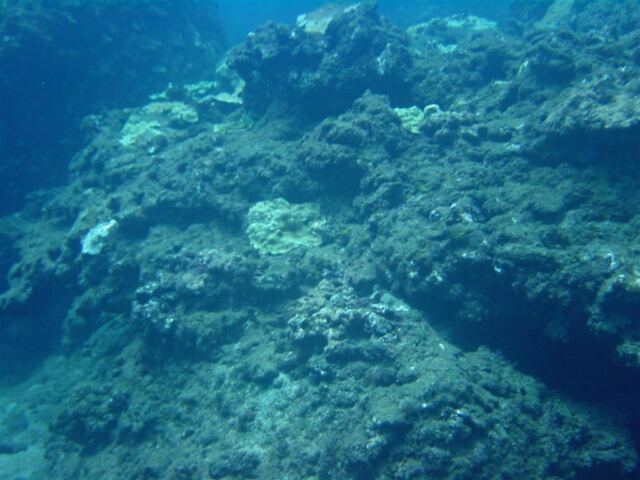 More rocks and coral (2)