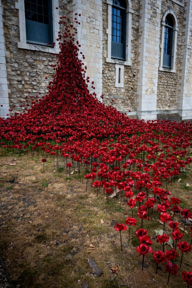Tower of London poppies 06