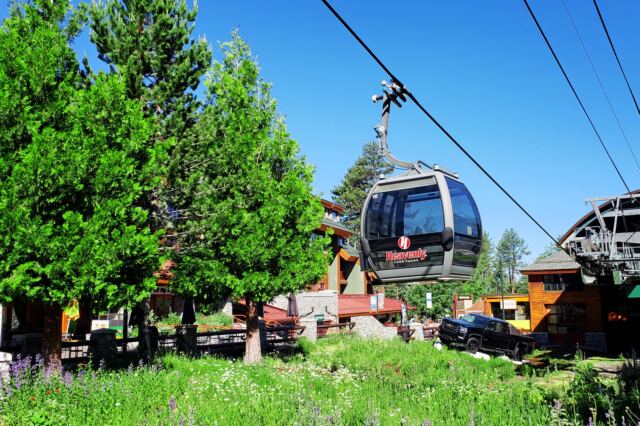Heavenly Gondolas 01