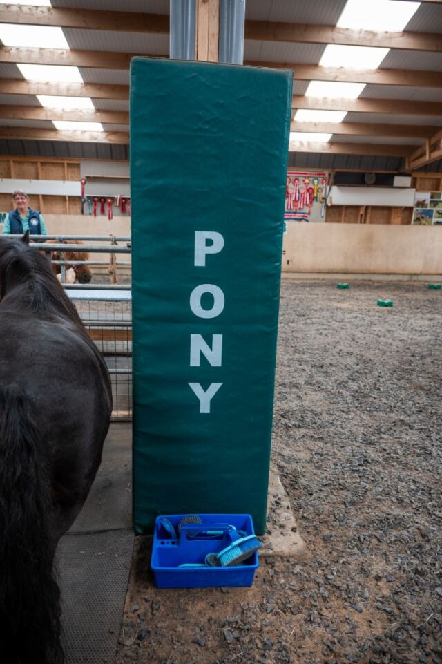 The Shetland Pony Experience 50
