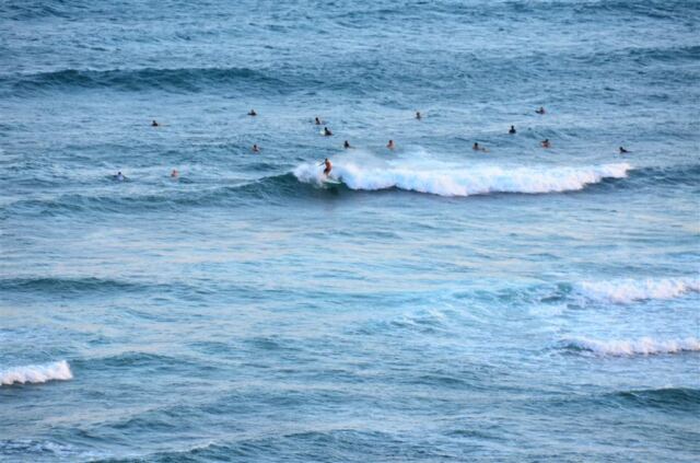 evening-oahu-surfers
