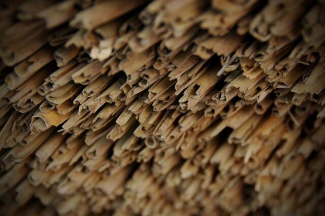 Reed roof