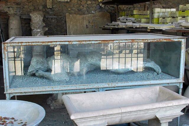 Pompeii - body casts (8)