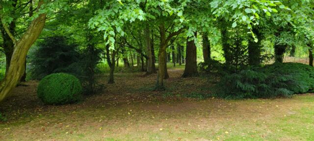 Cripps Barn woods