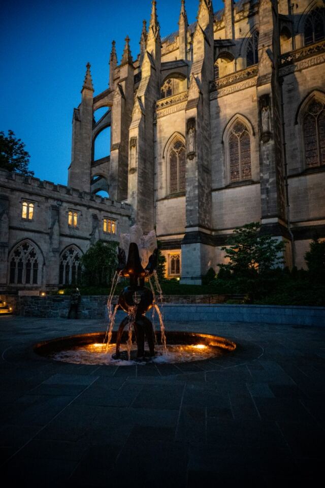 The Cathedral Garth 13
