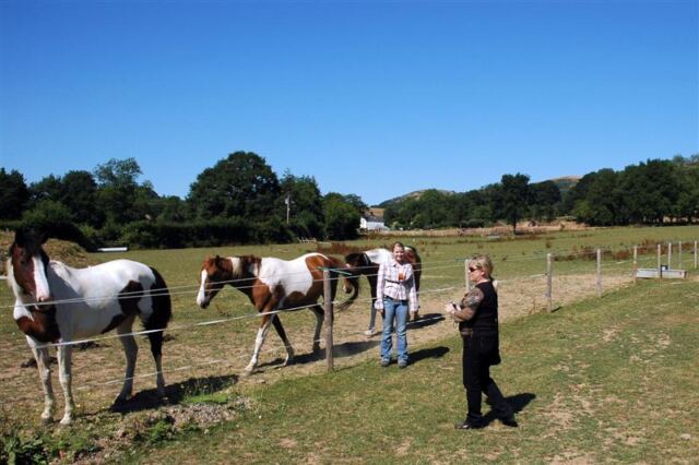 Mel, Kathy, and horses