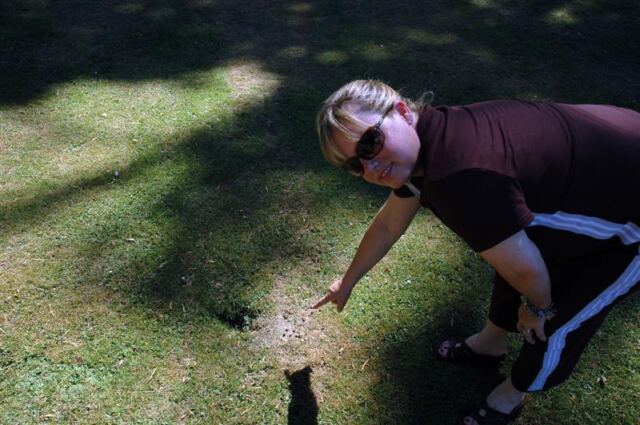 Rabbits!