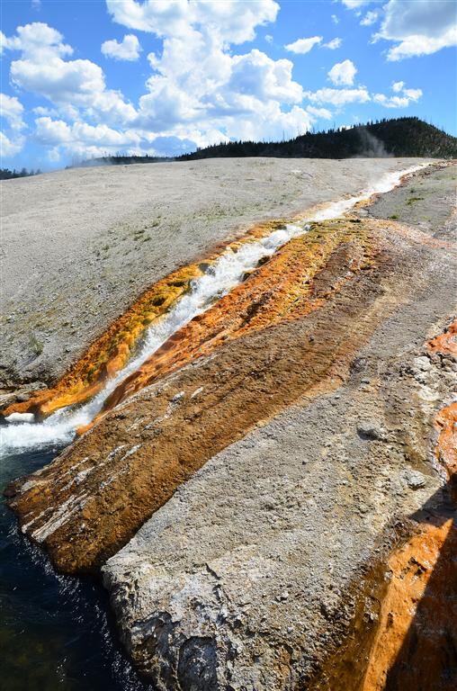 Excelsior Geyser runoff stream (6)