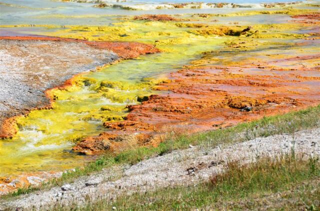 Excelsior Geyser runoff stream (11)