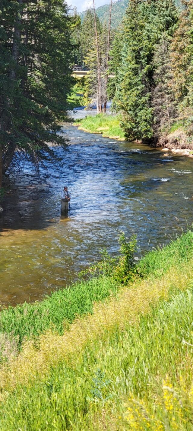 Fly fishing 3