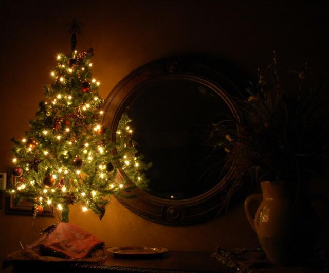 bedroom-tree-and-mirror
