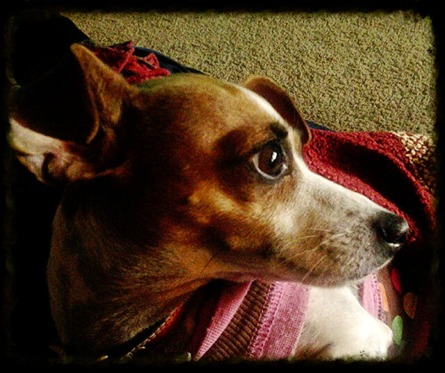 katie-bug-on-her-third-birthday-2-2-14-