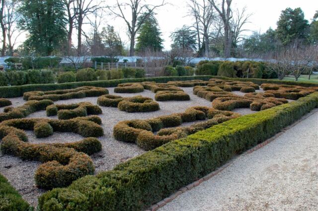 Sculpted hedges (1)