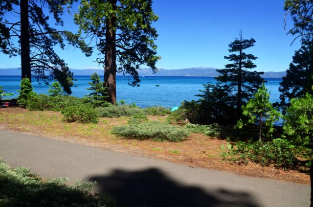 Sugar Pine Point walk 09