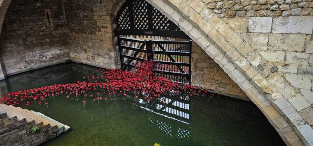 Tower of London poppies 01