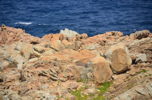 Building a cairn at Coppermine Point 9