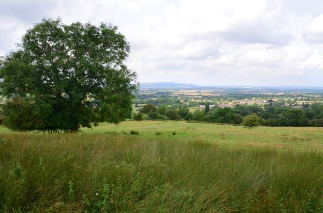 Broadway Tower - Cotswold Way scenery (14)