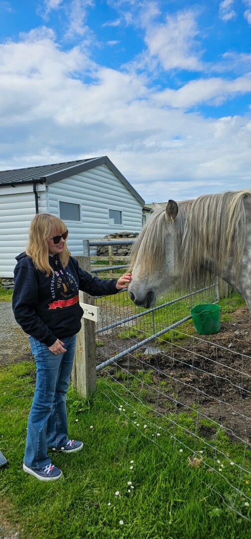 The Shetland Pony Experience 21