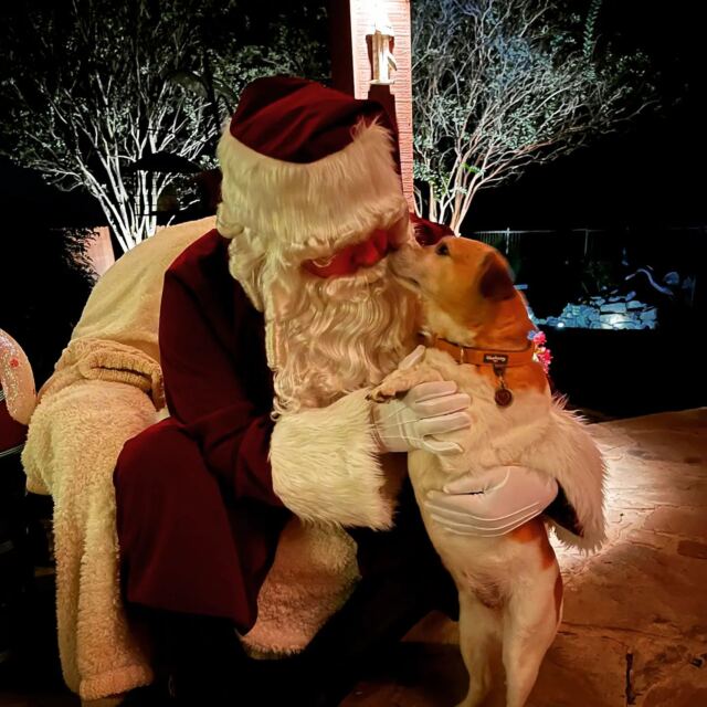 Santa - Pippa