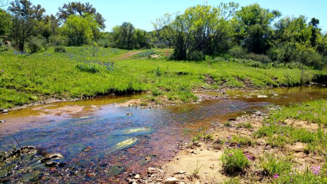 Willow Loop stream 2
