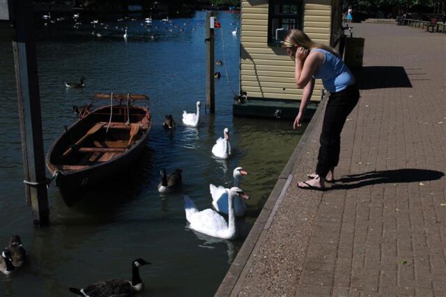 Melanie and the swans