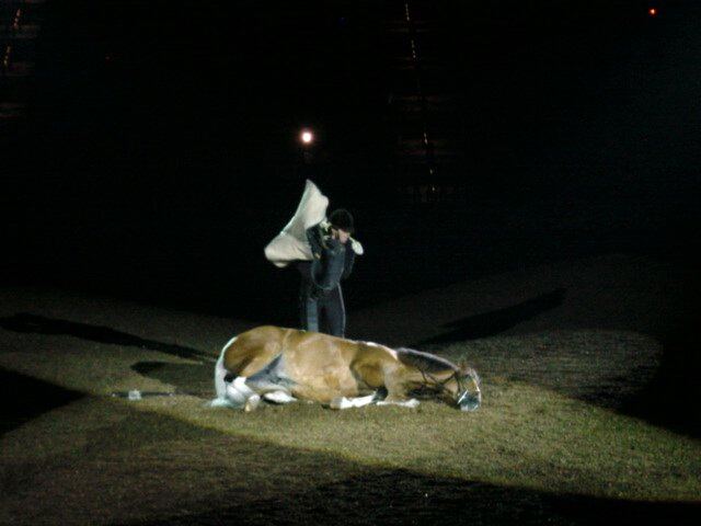Arabian Nights - Lie down!