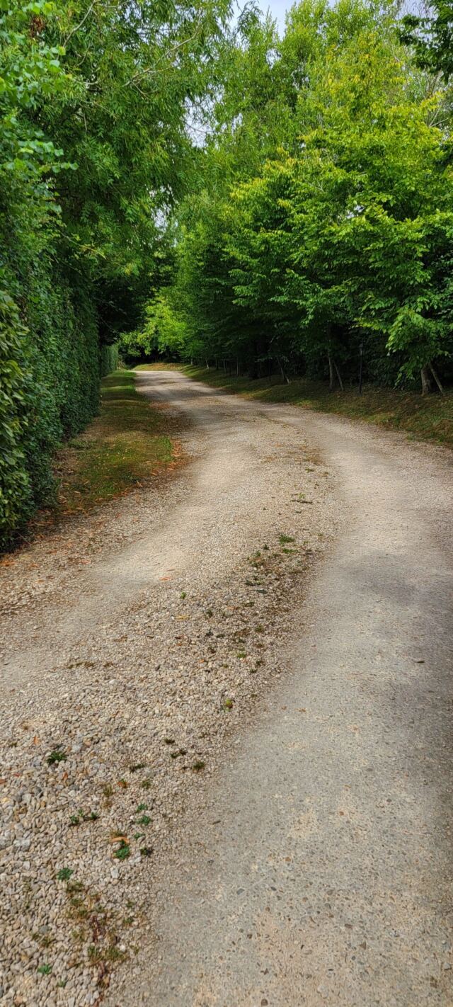Oakleigh House driveway