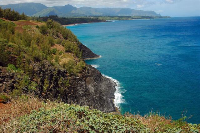 Kilauea Lighthouse inlet (10)
