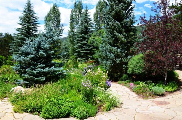 Betty Ford gardens (1)