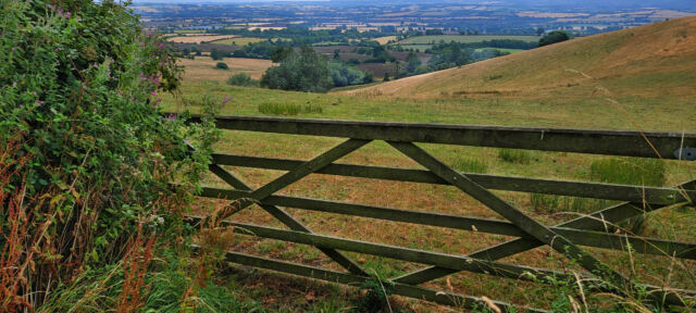 Cotswold views from Foxcote Hill (09)