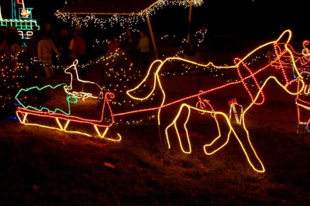 horse-pulling-christmas-tree